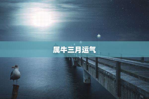属牛三月运气