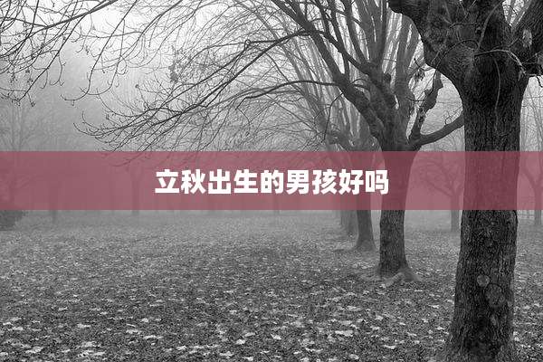 立秋出生的男孩好吗