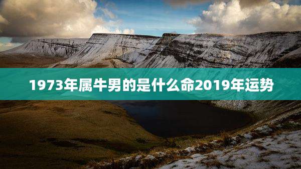 1973年属牛男的是什么命2019年运势