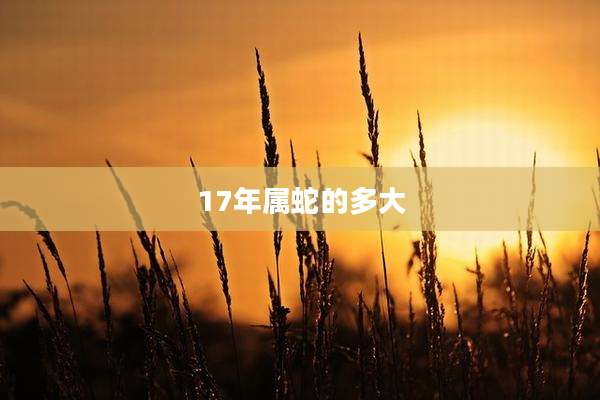 17年属蛇的多大