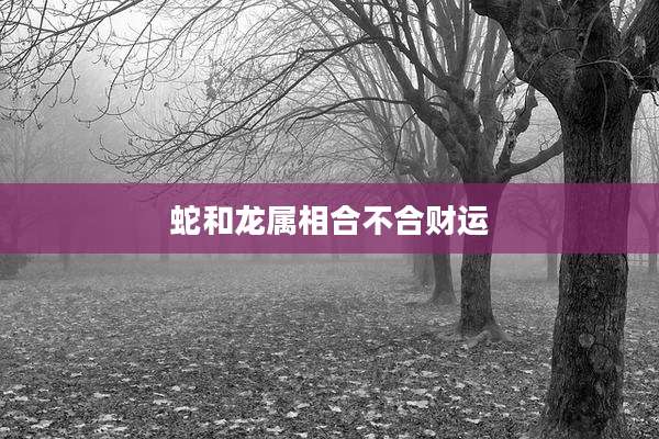 蛇和龙属相合不合财运