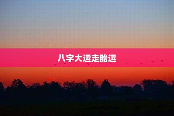 八字大运走胎运