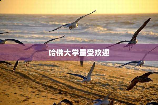 哈佛大学最受欢迎