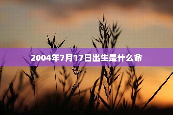 2004年7月17日出生是什么命
