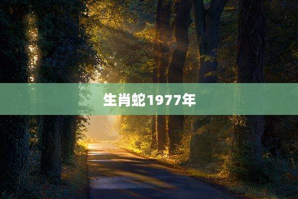 生肖蛇1977年