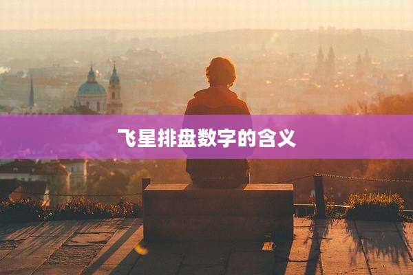飞星排盘数字的含义
