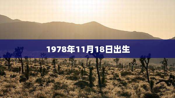 1978年11月18日出生