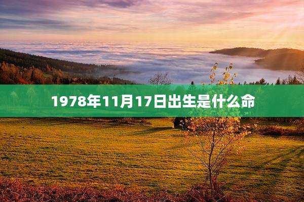 1978年11月17日出生是什么命