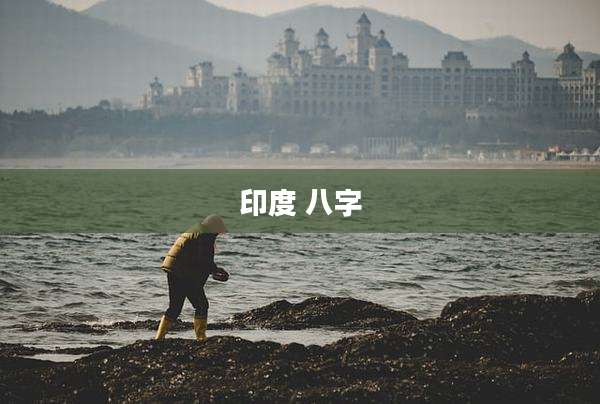 印度 八字