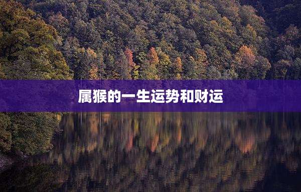 属猴的一生运势和财运