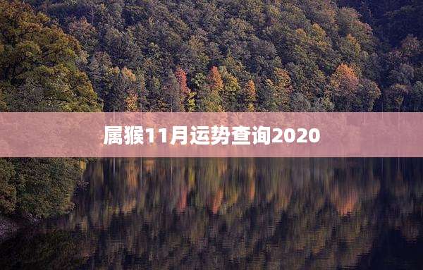 属猴11月运势查询2020