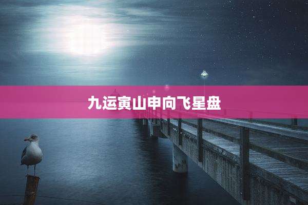 九运寅山申向飞星盘