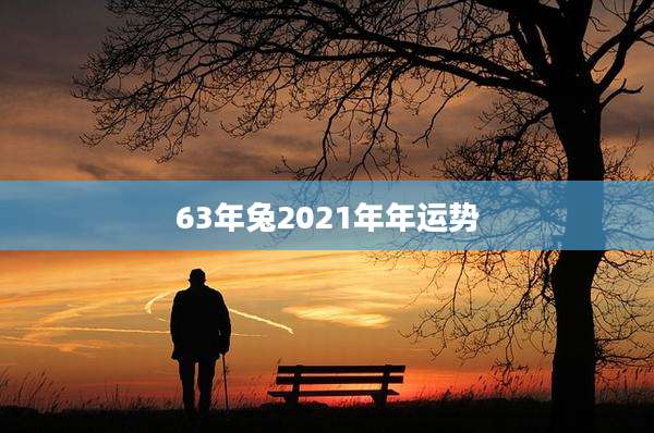 63年兔2021年年运势