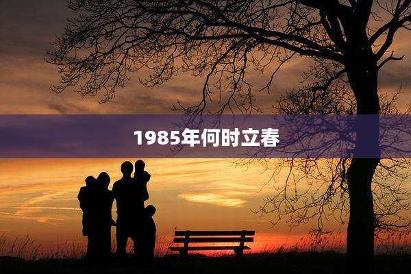 1985年何时立春