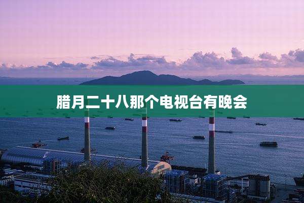 腊月二十八那个电视台有晚会