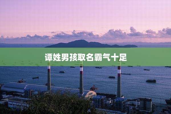 谭姓男孩取名霸气十足