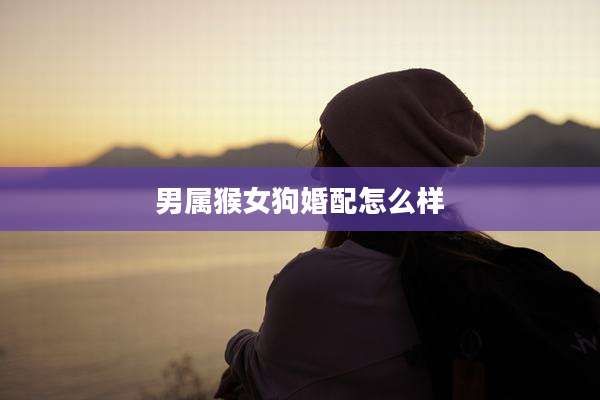 男属猴女狗婚配怎么样