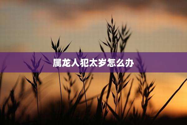属龙人犯太岁怎么办