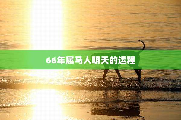 66年属马人明天的运程