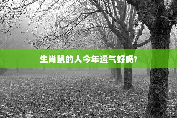 生肖鼠的人今年运气好吗?