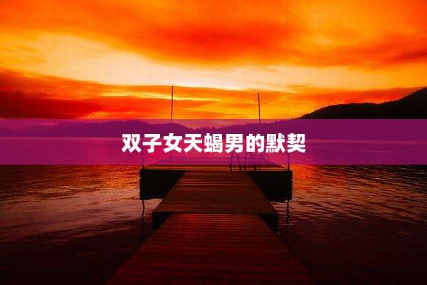 双子女天蝎男的默契