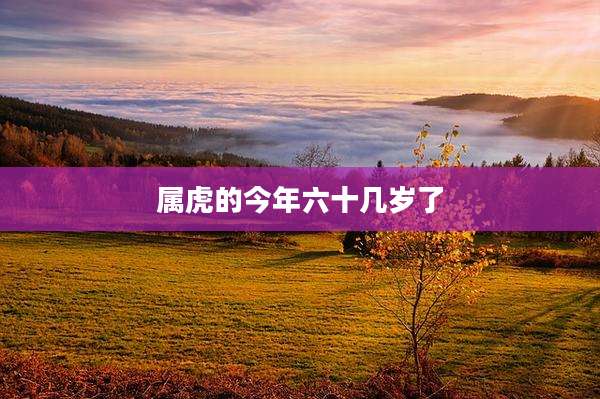 属虎的今年六十几岁了