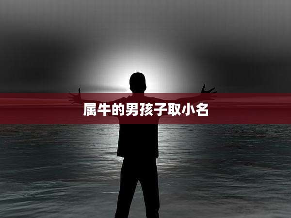 属牛的男孩子取小名
