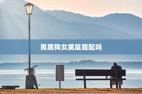 男属狗女属鼠能配吗