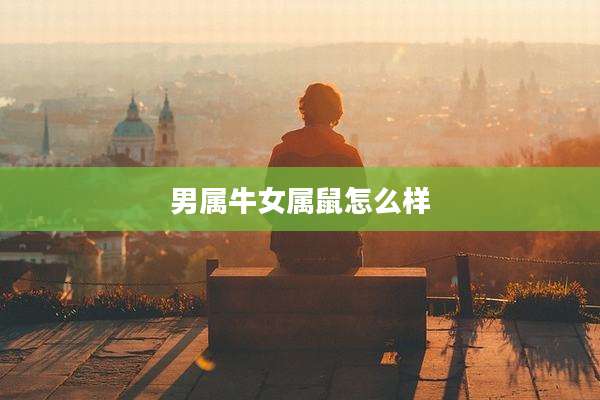 男属牛女属鼠怎么样