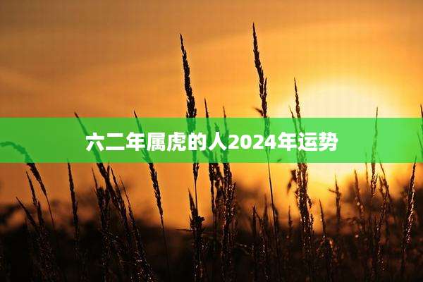 六二年属虎的人2024年运势