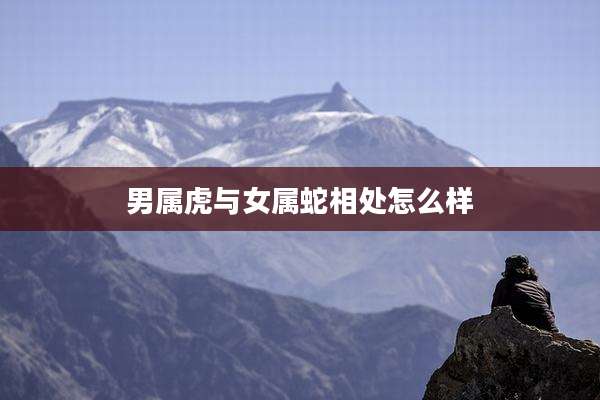 男属虎与女属蛇相处怎么样