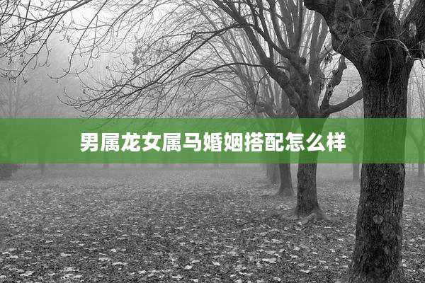男属龙女属马婚姻搭配怎么样