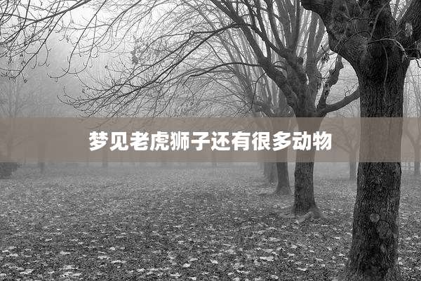 梦见老虎狮子还有很多动物