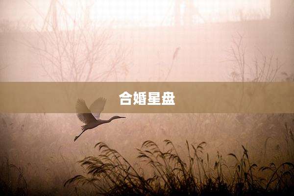 合婚星盘