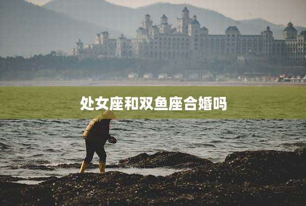 处女座和双鱼座合婚吗