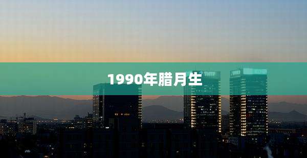 1990年腊月生