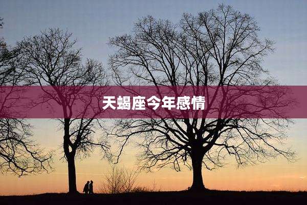 天蝎座今年感情