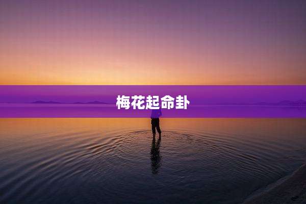 梅花起命卦