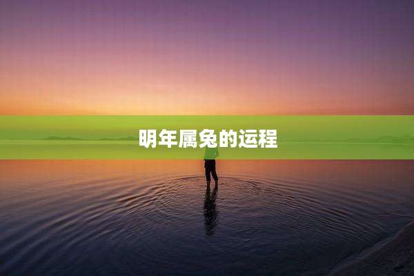 明年属兔的运程