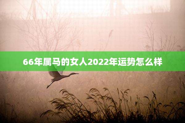 66年属马的女人2022年运势怎么样