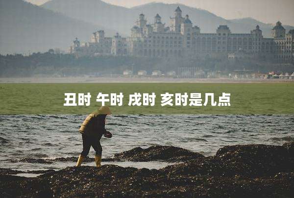 丑时 午时 戌时 亥时是几点