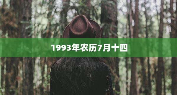 1993年农历7月十四