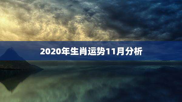 2020年生肖运势11月分析