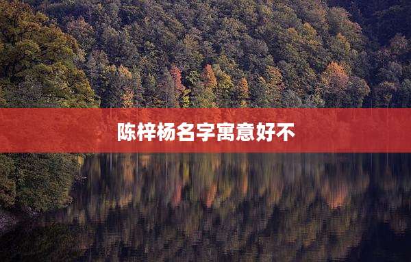 陈梓杨名字寓意好不