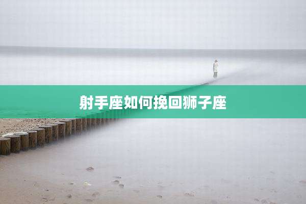 射手座如何挽回狮子座