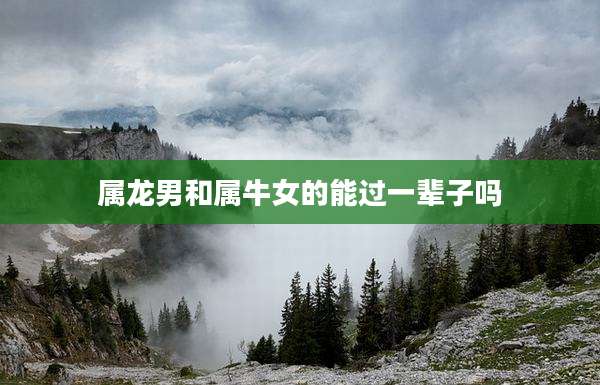 属龙男和属牛女的能过一辈子吗