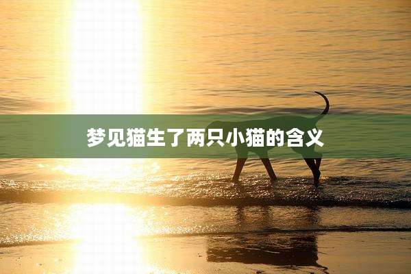 梦见猫生了两只小猫的含义