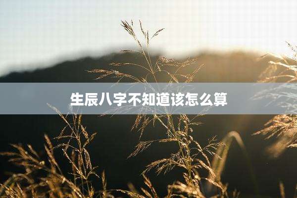 生辰八字不知道该怎么算