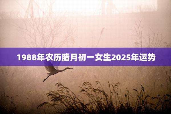 1988年农历腊月初一女生2025年运势