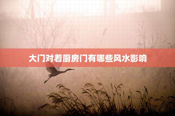 大门对着厨房门有哪些风水影响